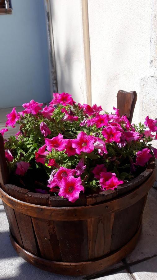 B&B L'Arco Fiorito San Gregorio  Dış mekan fotoğraf